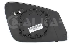 F10-20-22-30-32 Ayna Camı Sol