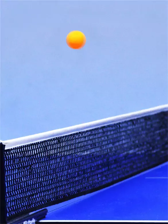 Özel Kutulu Masa Tenisi Filesi Taşınabilir 170cm Tüm Masalara Uyumlu