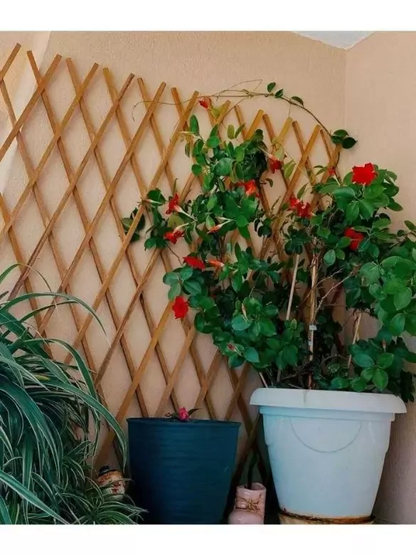 Dekoratif Bahçe Çiti Bordür Kırılmaz Ahşap Çit  Tek Peyzaj Koruma Panel Kahverengi Dekoratif Bahçe Çiti Bordür Kırılmaz Ahşap Çit  Tek Peyzaj Koruma Panel Kahverengi