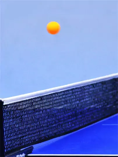 Özel Kutulu Masa Tenisi Filesi Taşınabilir 170cm Tüm Masalara Uyumlu