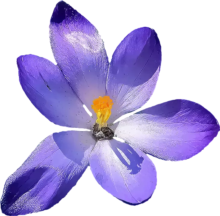 Bisiklet Yaka T-shirt Mor 222