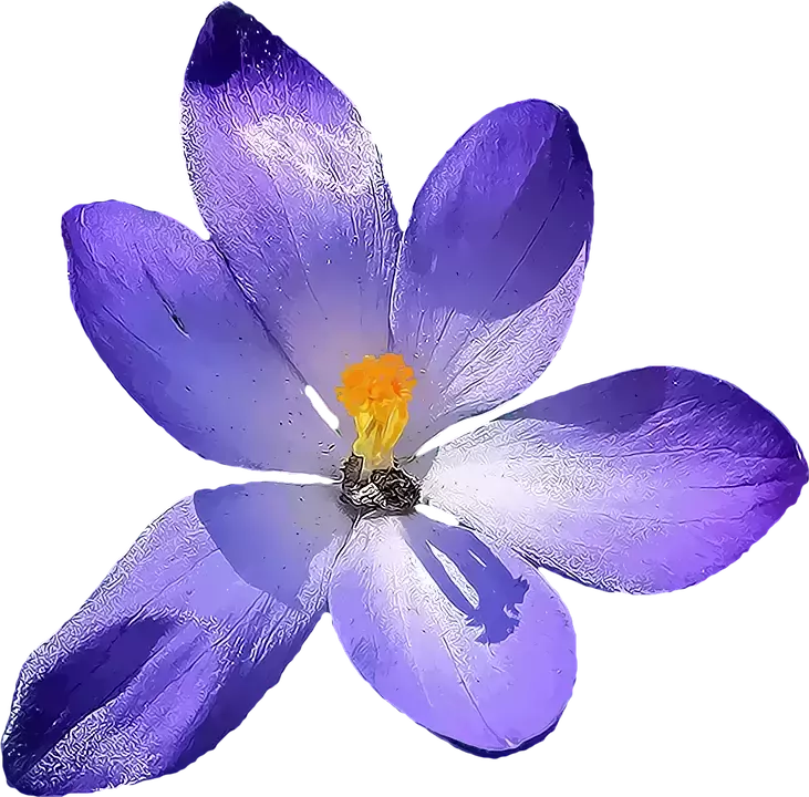 Bisiklet Yaka T-shirt Mor 222