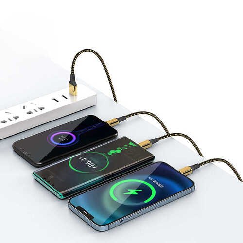 Wiwu Golden Series GD-102 20W 2.4A 480 Mbps Micro Data Kablo 3M