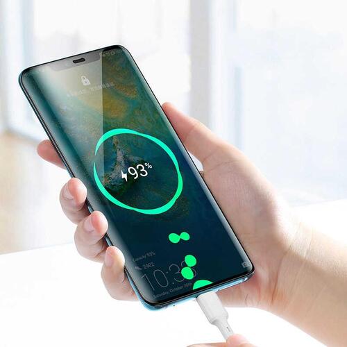 Benks D35 Type-C Hızlı Şarj Akıllı Koruma Usb Kablo 25cm