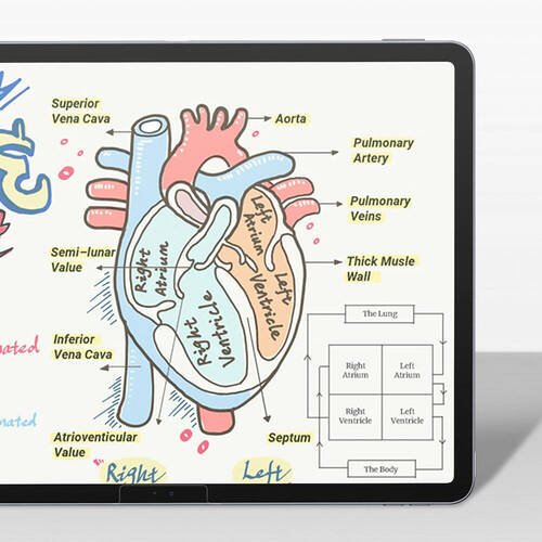 Apple iPad Pro 13 2024 Kağıt Hisli Benks Mat Paper-Like Ekran Koruyucu