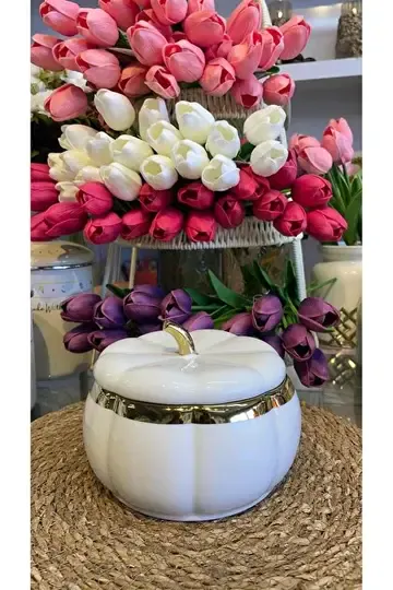 ACAR 7662 TANSY KAPAKLI KASE