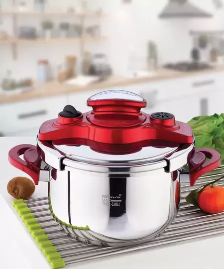 SAFİNOX OTOMATİK DÜDÜKLÜ TENC 5 LT RENKLİ KULPLU