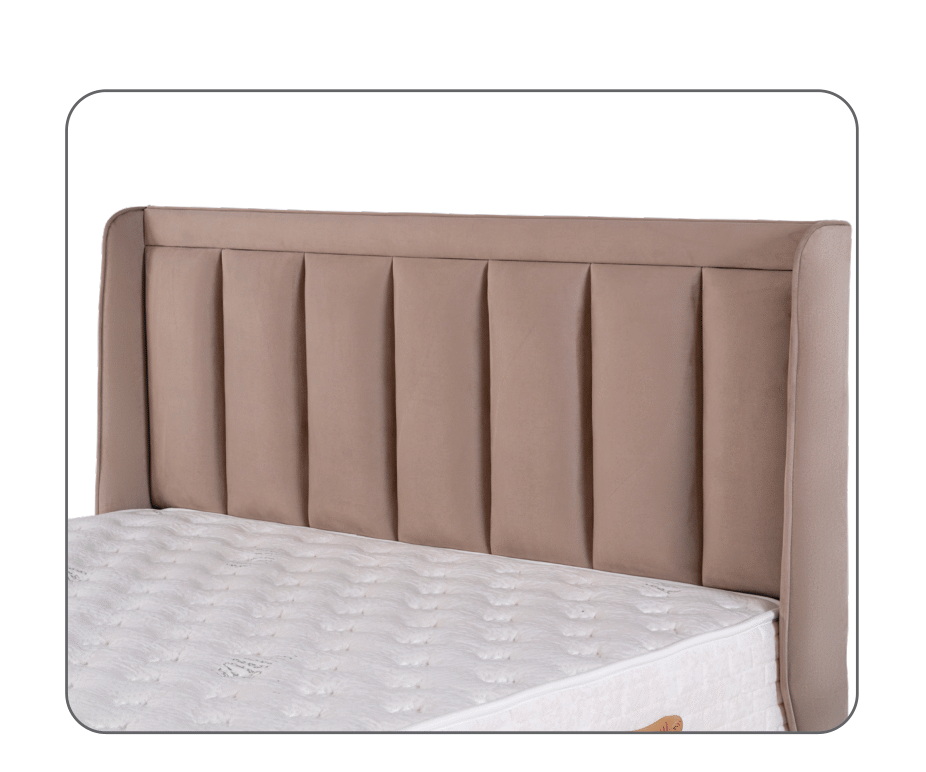 EMSAL NERGİS BAŞLIK