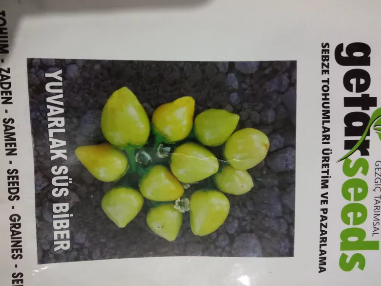 Nohut Cin Biberi Fidesi