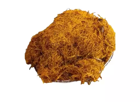 Meyan Kök