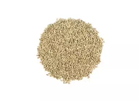 Anason