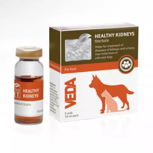 Phytodiet Healthy Kidneys Tincture