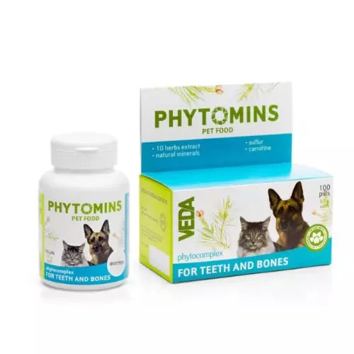 Diş ve Kemikler için Fitomin Tableti