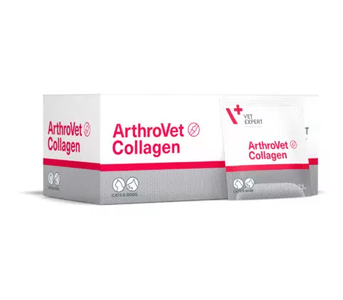 Vet Expert ArthroVet Collagen 60 Şase
