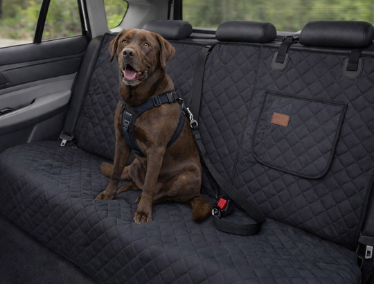 Haegs Araç Arka Koltuk Kılıfı - Evcil Hayvan Oto Köpek Koltuk Koruma Örtüsü, Fermuarlı, Konsol Bölmeli, Kaymaz, Ağır Hizmet Tipi, Su Geçirmez Koltuk Koruyucu Kılıf, Large:145cm Gri