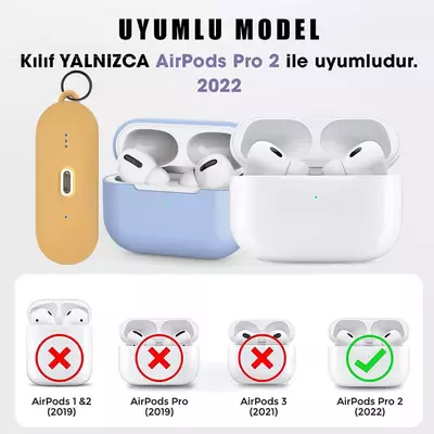 Microsonic AirPods Pro 2.Nesil Kılıf Litchi Texture Siyah