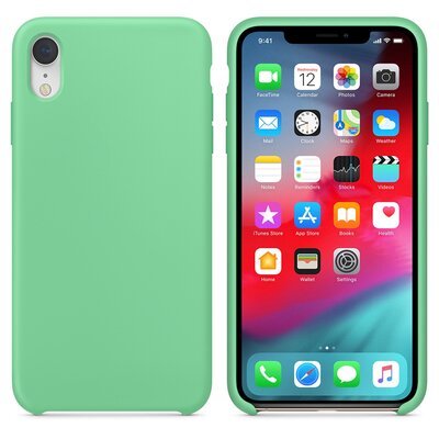 Microsonic Apple iPhone XR Kılıf Liquid Lansman Silikon Nane