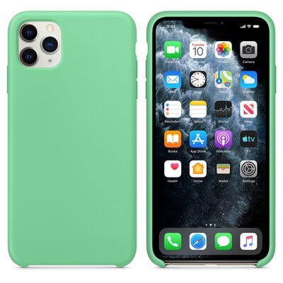 Microsonic Apple iPhone 11 Pro Kılıf Liquid Lansman Silikon Açık Nane