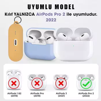 Microsonic AirPods Pro 2.Nesil Kılıf Litchi Texture Siyah