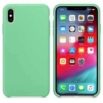 Microsonic Apple iPhone X Kılıf Liquid Lansman Silikon Nane