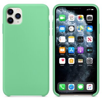 Microsonic Apple iPhone 11 Pro Kılıf Liquid Lansman Silikon Açık Nane