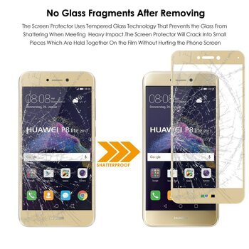 Microsonic Huawei P9 Lite 2017 Kavisli Temperli Cam Ekran Koruyucu Film Gold