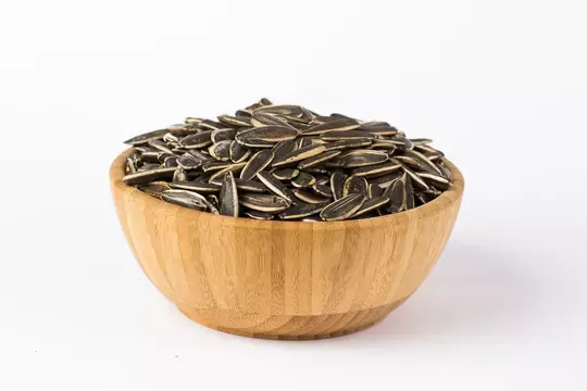 Çekirdek
