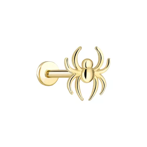 ÖRÜMCEK TRAGUS KÜPE