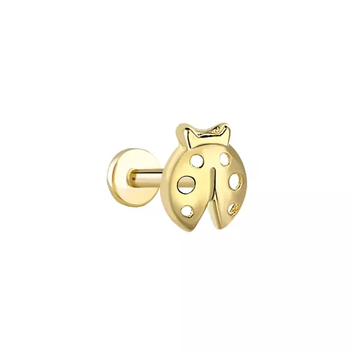 UĞUR BÖCEĞİ TRAGUS KÜPE