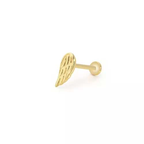 TEK KANAT TRAGUS KÜPE