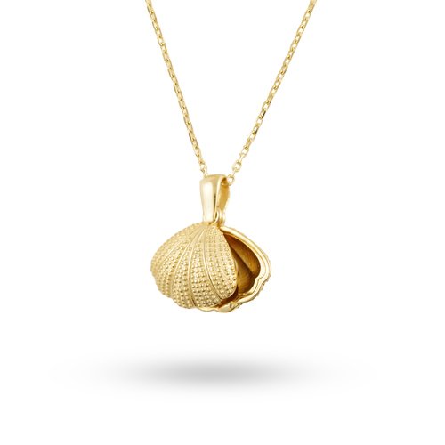 DENİZ KABUĞU KOLYE