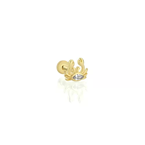 MİNİ YENGEÇ TRAGUS KÜPE