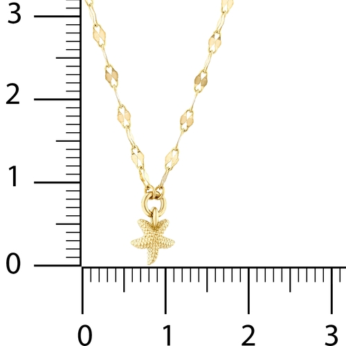 Deniz Yıldızlı Ezme Forse Zincir Choker Kolye