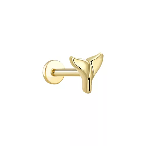 BALIK KUYRUĞU TRAGUS KÜPE