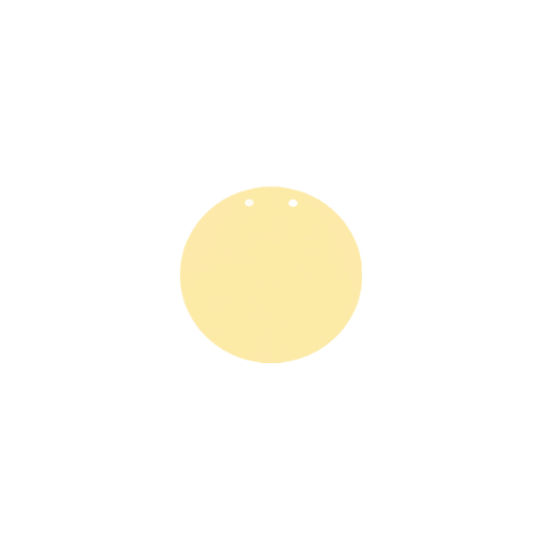 22 mm YUVARLAK PLAKA