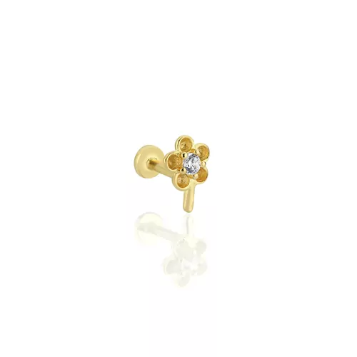 PERVANE TRAGUS KÜPE