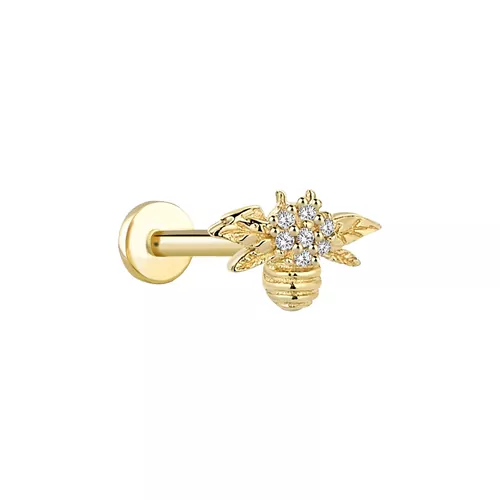 TAŞLI ARI TRAGUS KÜPE