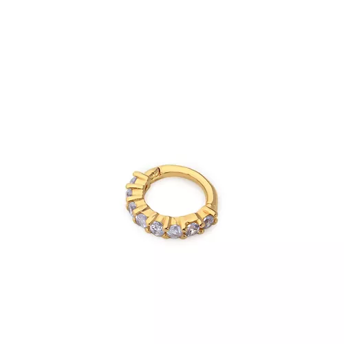 HLX0101(S)-(0,37-gr)