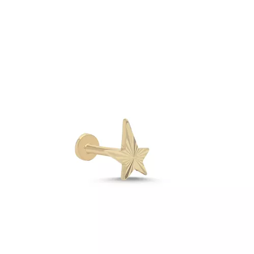 MİNİ KALEMLİ YILDIZ TRAGUS KÜPE