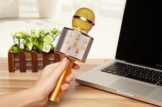 Microsonic Karaoke Bluetooth Mikrofon Gold