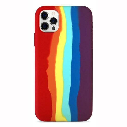 Microsonic Apple iPhone 12 Pro Max Kılıf Painted Rainbow Pattern Pride Edition