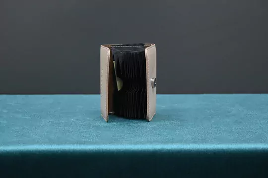 Kadın Vizyon Kartlık