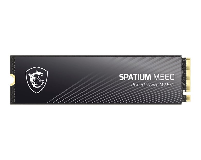 2Tb Msı Spatıum M560 Pcıe 5.0 Nvme M2 10300/8700Mb/S