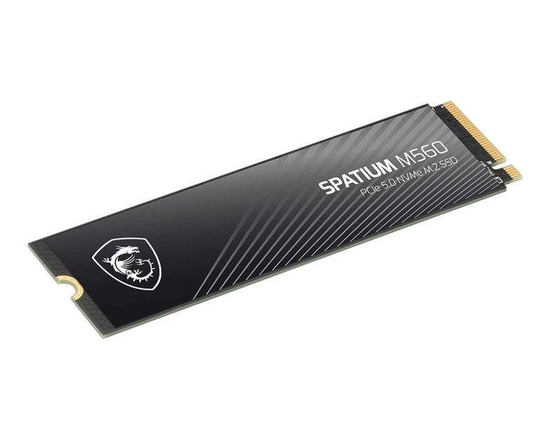 2Tb Msı Spatıum M560 Pcıe 5.0 Nvme M2 10300/8700Mb/S