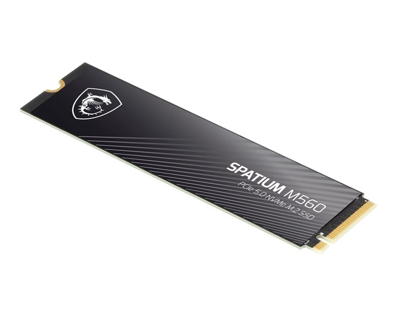 2Tb Msı Spatıum M560 Pcıe 5.0 Nvme M2 10300/8700Mb/S