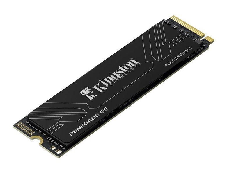 1Tb Kıngston Renegade Srng2S/1T0 14200/11000/Mbs Pcıe 5.0 Nvme Ssd