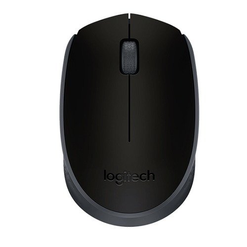 Logıtech M171 Kablosuz Mouse Siyah 910-004424