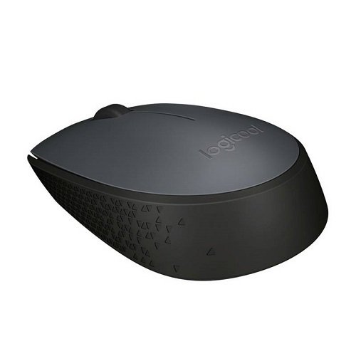 Logıtech M171 Kablosuz Mouse Siyah 910-004424