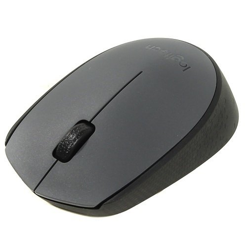 Logıtech M170 Nano Mouse Kablosuz Siyah 910-004642