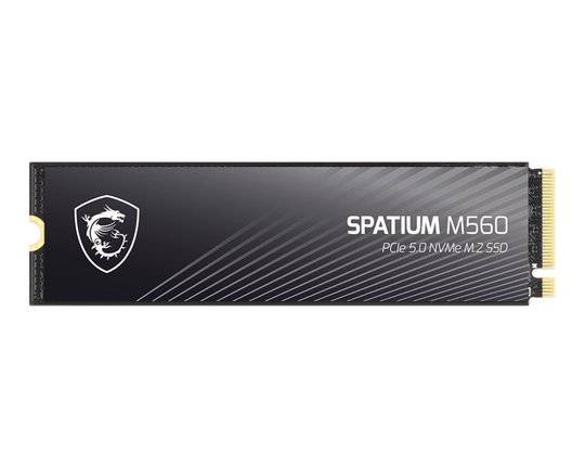 2Tb Msı Spatıum M560 Pcıe 5.0 Nvme M2 10300/8700Mb/S